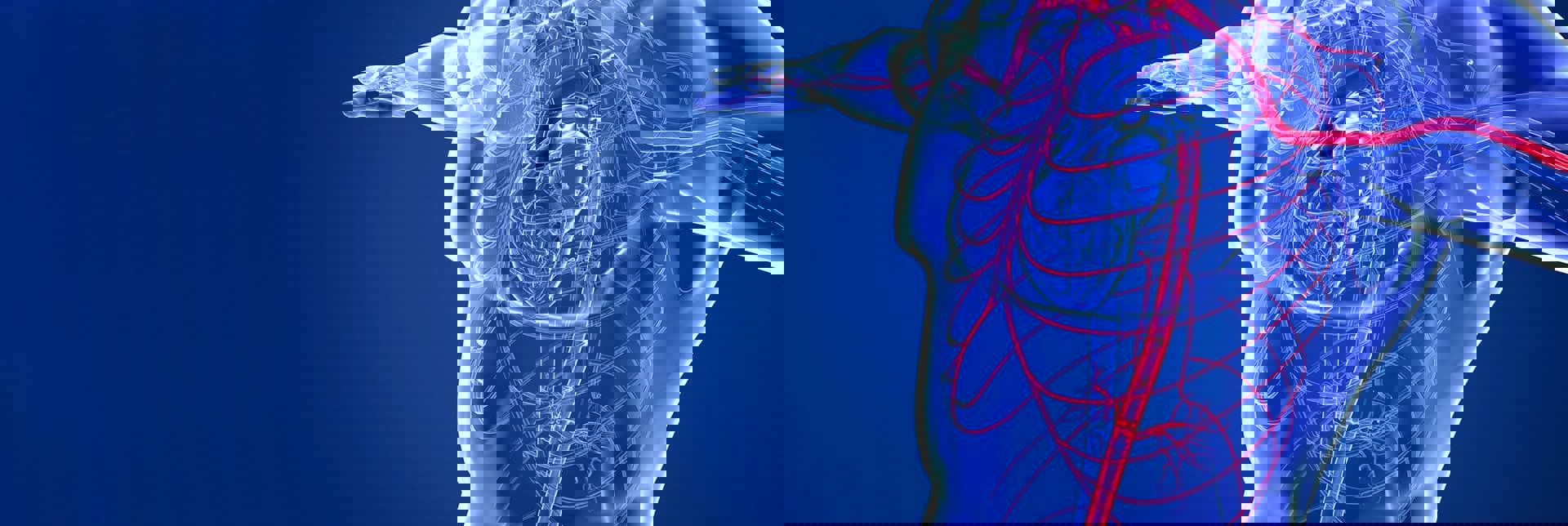 Vascular Medicine Surgery Webpage