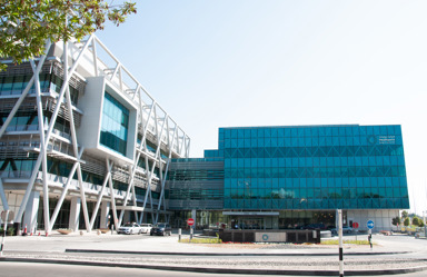 Hp Brand Building Updated Logo 3